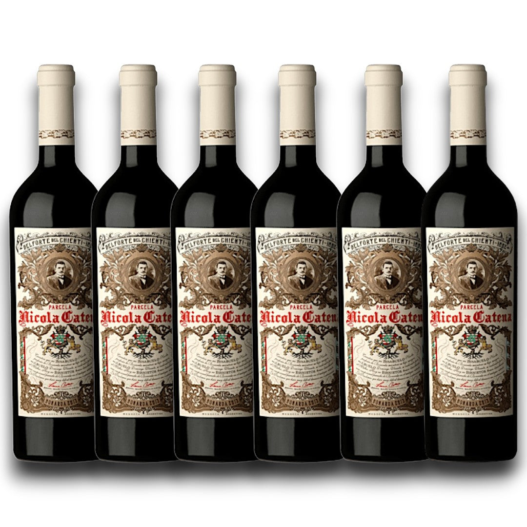 Kit 6 Nicola Catena Bonarda 2020